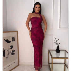 Riana Wine Mesh Elastic Dress