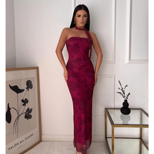 Riana Wine Mesh Elastic Dress