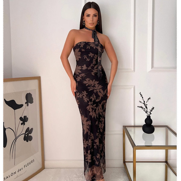 Riana Brown Mesh Elastic Dress - Image 2