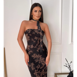 Riana Brown Mesh Elastic Dress