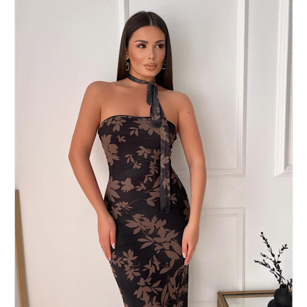 Riana Brown Mesh Elastic Dress