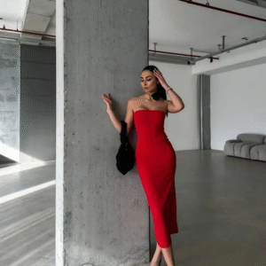 Sylvie Elastic Red Dress